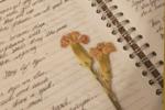 A poem about you and me