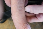 Uncut 8 inch Monster Huge Dick / Cock