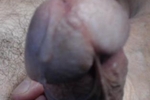el gato lusty โ elgato2