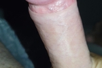cock 2024