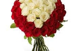 Send me ROSES :)