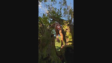 Forest fairy feet