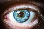 h0mi4u live streaming profile
