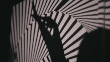 🤍Black & White🖤