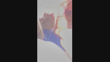 Dick sucking