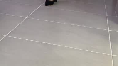 INTRO