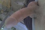 dick