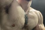 Muscles, hairy body