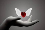 for my dream