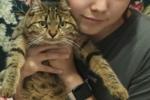 meowmeow