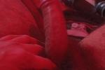 mr.love sexygirl ass — Sexy