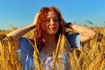 cornfield