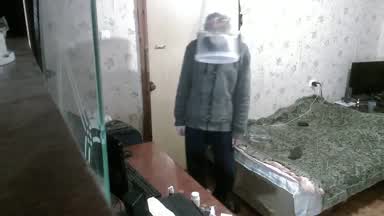 Noise insulation