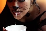 Kitten