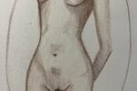 ✿Draws✿