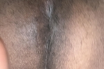 Boi pussy cat