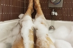 Feet and Legs in Bubbles