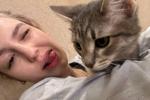 my kitty