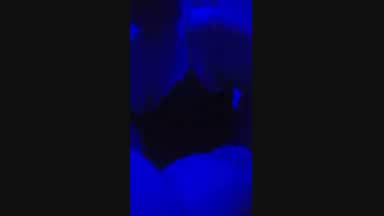 Blue Light Special