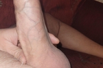 cock