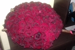rosses