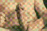Cock Hard