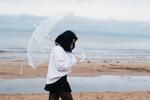 Fly on an umbrella