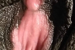 Close up pussy