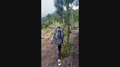 hiking!🌲 - nico 🐰