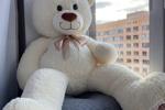 new soft friend
