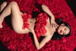 Rose Scent