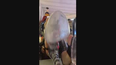 Clean my heels with your tongue. NOW!👠👅