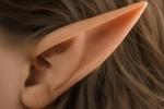 Elf Ears for my customs&streams