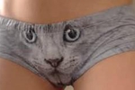 pantycat