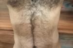 Hairy Chest