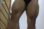 Muscle