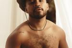 little bear - give my room a like, thanks — DADDY TELL ME COWBOY