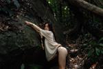 A walk in the forest