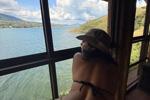 alice surprice live Chaturbate webcam gallery thumbnail