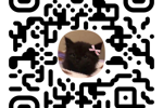 MY TG CHANNEL