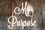 My purpose