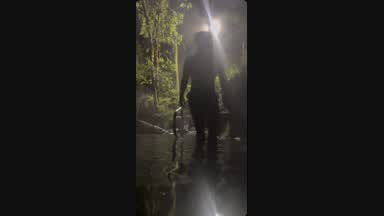 Sexy man in the mist