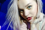Free photo