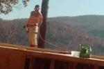 Handyman2316