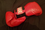 Red Boxing Gloves