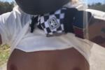 candi may โ Tits