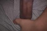theman350454 live streaming profile