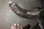 My CuRvy COck