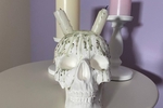 My favorite skull
