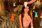 🐇🥚Easter Day🥚🐇